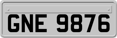 GNE9876