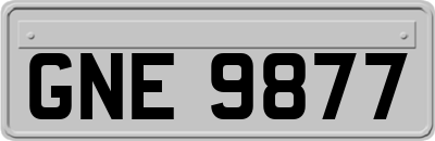 GNE9877