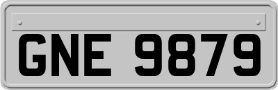 GNE9879