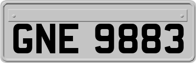GNE9883