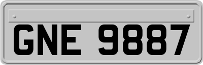 GNE9887