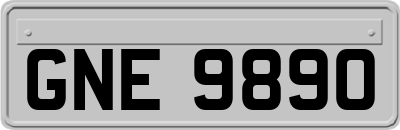 GNE9890