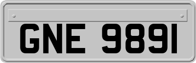 GNE9891