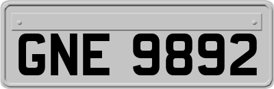 GNE9892