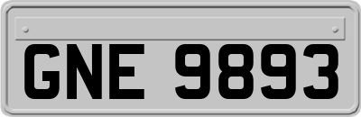 GNE9893