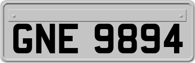 GNE9894
