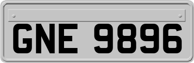 GNE9896