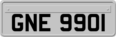 GNE9901