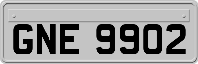 GNE9902