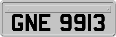 GNE9913