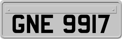 GNE9917