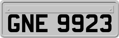 GNE9923