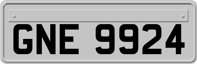 GNE9924