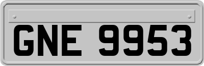 GNE9953