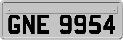 GNE9954