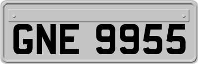 GNE9955