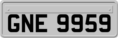 GNE9959