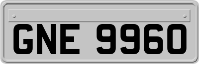 GNE9960