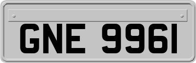 GNE9961