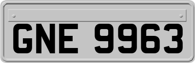 GNE9963