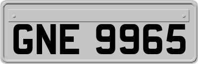 GNE9965