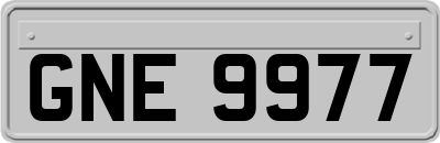 GNE9977