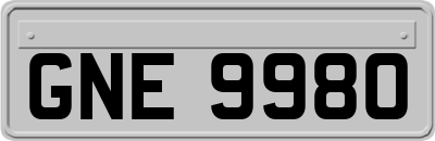 GNE9980