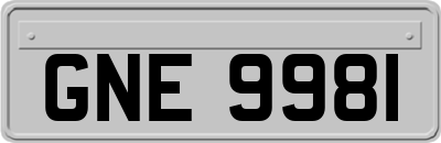 GNE9981
