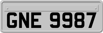 GNE9987