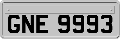 GNE9993