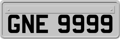 GNE9999
