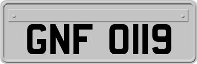 GNF0119