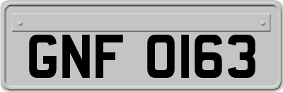 GNF0163