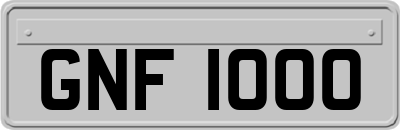 GNF1000
