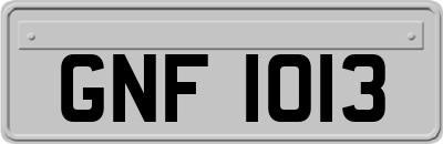 GNF1013