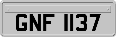 GNF1137