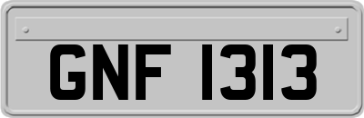 GNF1313