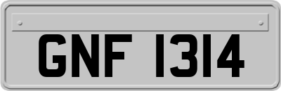 GNF1314