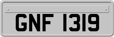 GNF1319