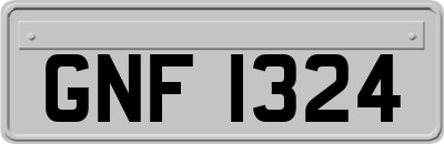 GNF1324