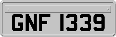 GNF1339