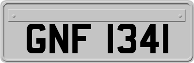 GNF1341