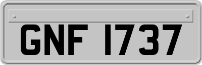 GNF1737
