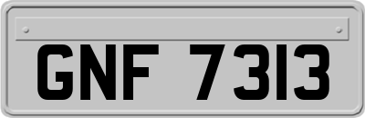 GNF7313