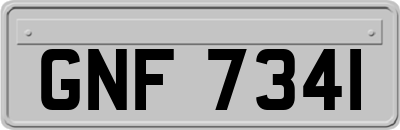GNF7341