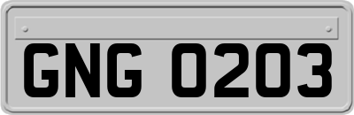 GNG0203