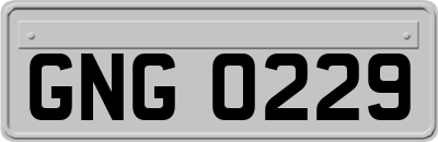 GNG0229