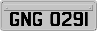 GNG0291