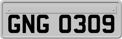 GNG0309