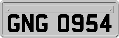 GNG0954